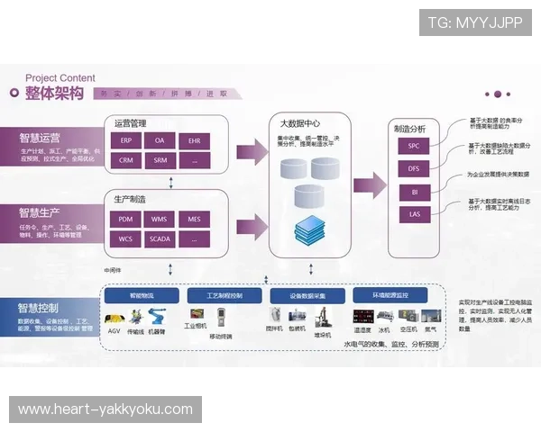 开云网络助力企业打造智能化的网络架构与服务平台