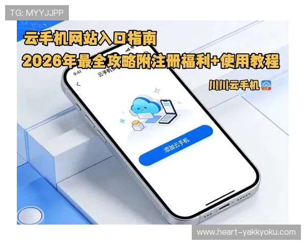 如何优化开云网页版安全设置，增强账户抵御风险的能力