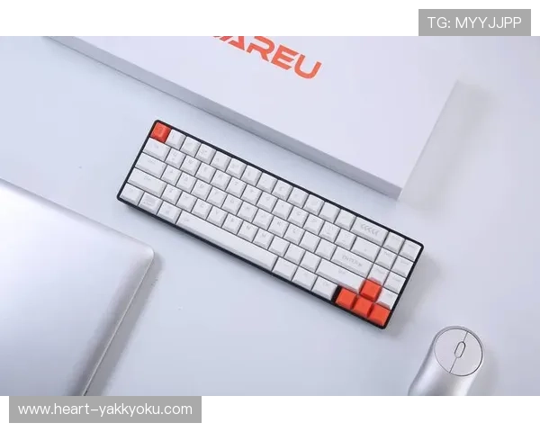 开云体育在线网站多平台同步登录，支持手机、平板和电脑多设备无缝切换