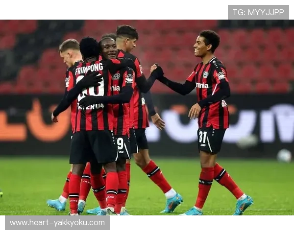 勒沃库森与开云体彩官网合作的成功案例及其对其他俱乐部的借鉴意义