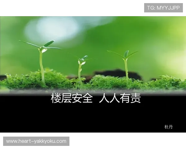 开云体育app网站安全保障措施与隐私保护政策，保障用户个人信息安全无忧