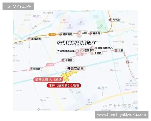 开云集团上海公司地址最新更新，提供详细地图和周边配套信息