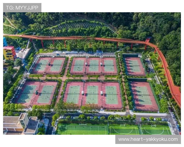 开云体育网球场设备维护与管理，确保每一场比赛都能顺利进行