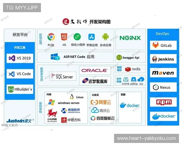 开云平台应用案例详解：从技术架构到用户服务的全面优化方案